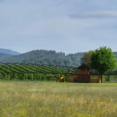 Unique Wooden Holiday House In Nature Lukovica pri Domzalah Ngoại thất bức ảnh