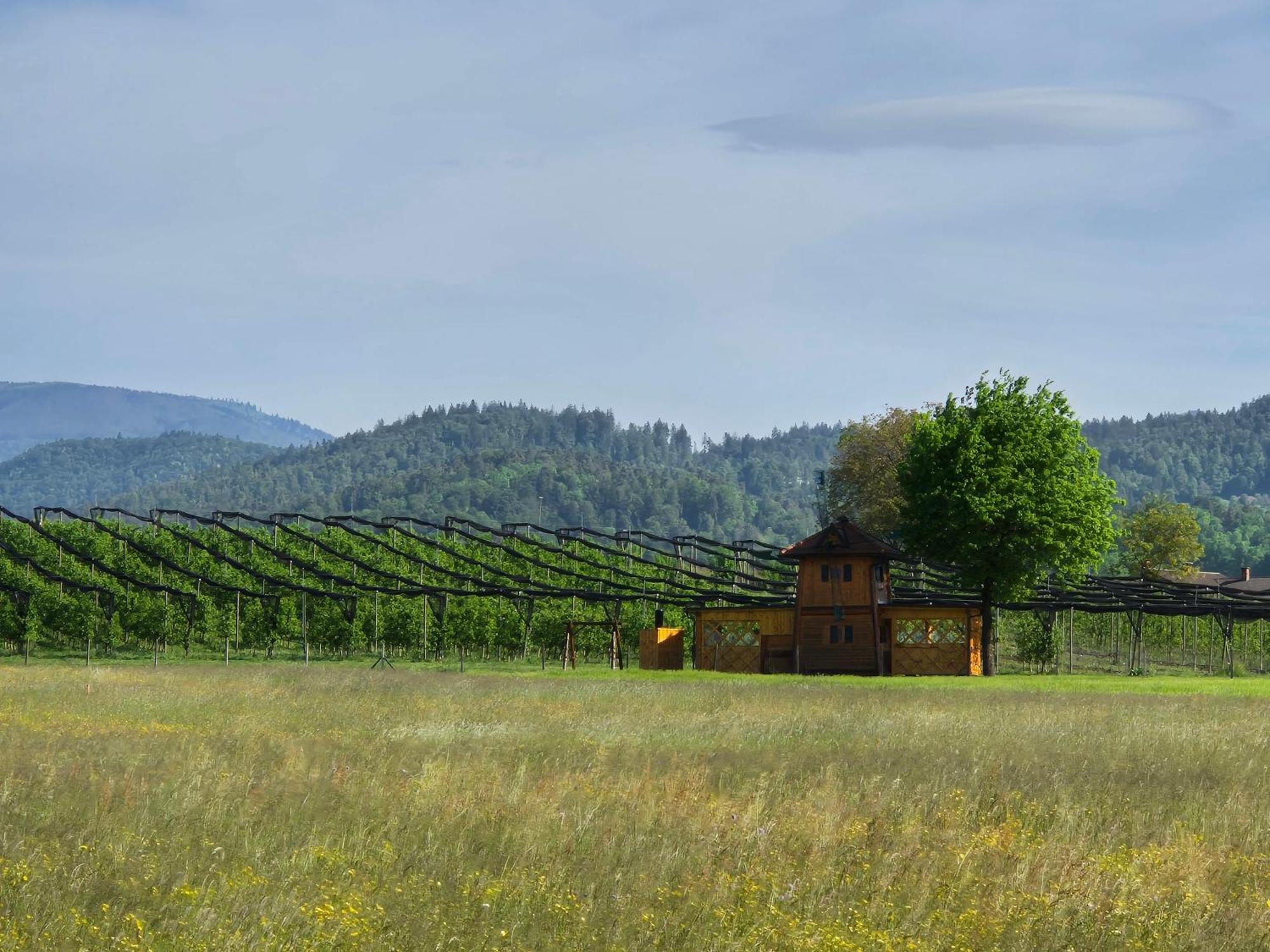 Unique Wooden Holiday House In Nature Lukovica pri Domzalah Ngoại thất bức ảnh